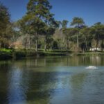 Particolare del laghetto inferiore di Villa Ada