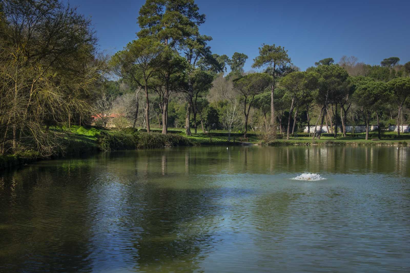 Particolare del laghetto inferiore di Villa Ada