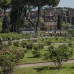 Panoramica del roseto con i resti del Palatino e del Circo Massimo