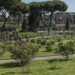 Panoramica del roseto con i resti del Palatino e del Circo Massimo