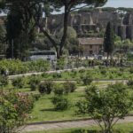 Panoramica del roseto con i resti del Palatino e del Circo Massimo